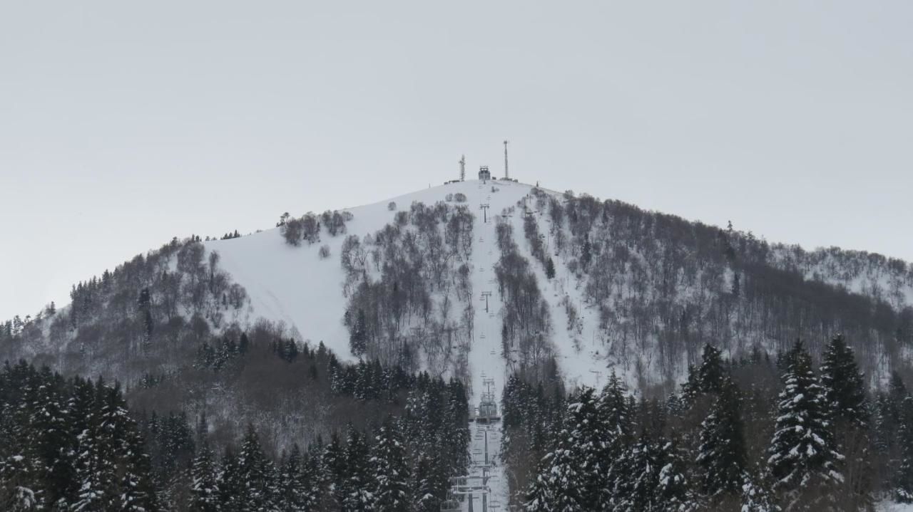 Отель Chalet Kokhta Бакуриани