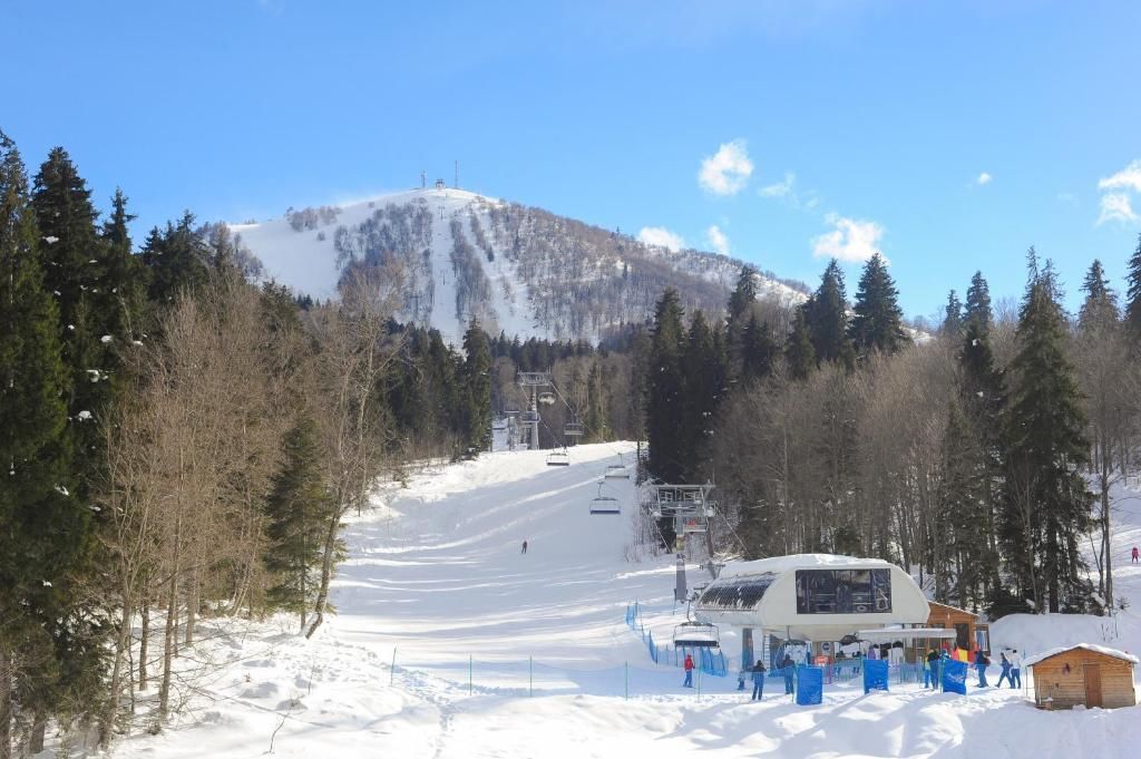 Отель Chalet Kokhta Бакуриани