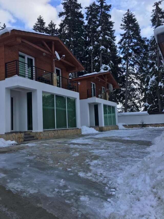Отель Chalet Kokhta Бакуриани-36